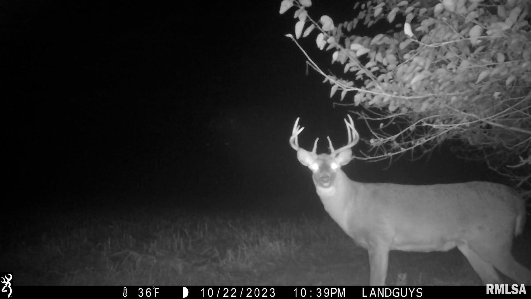 13126 West Parks School Road Princeville, IL 61559 - Photo 71 of 74 Gallery Image 71