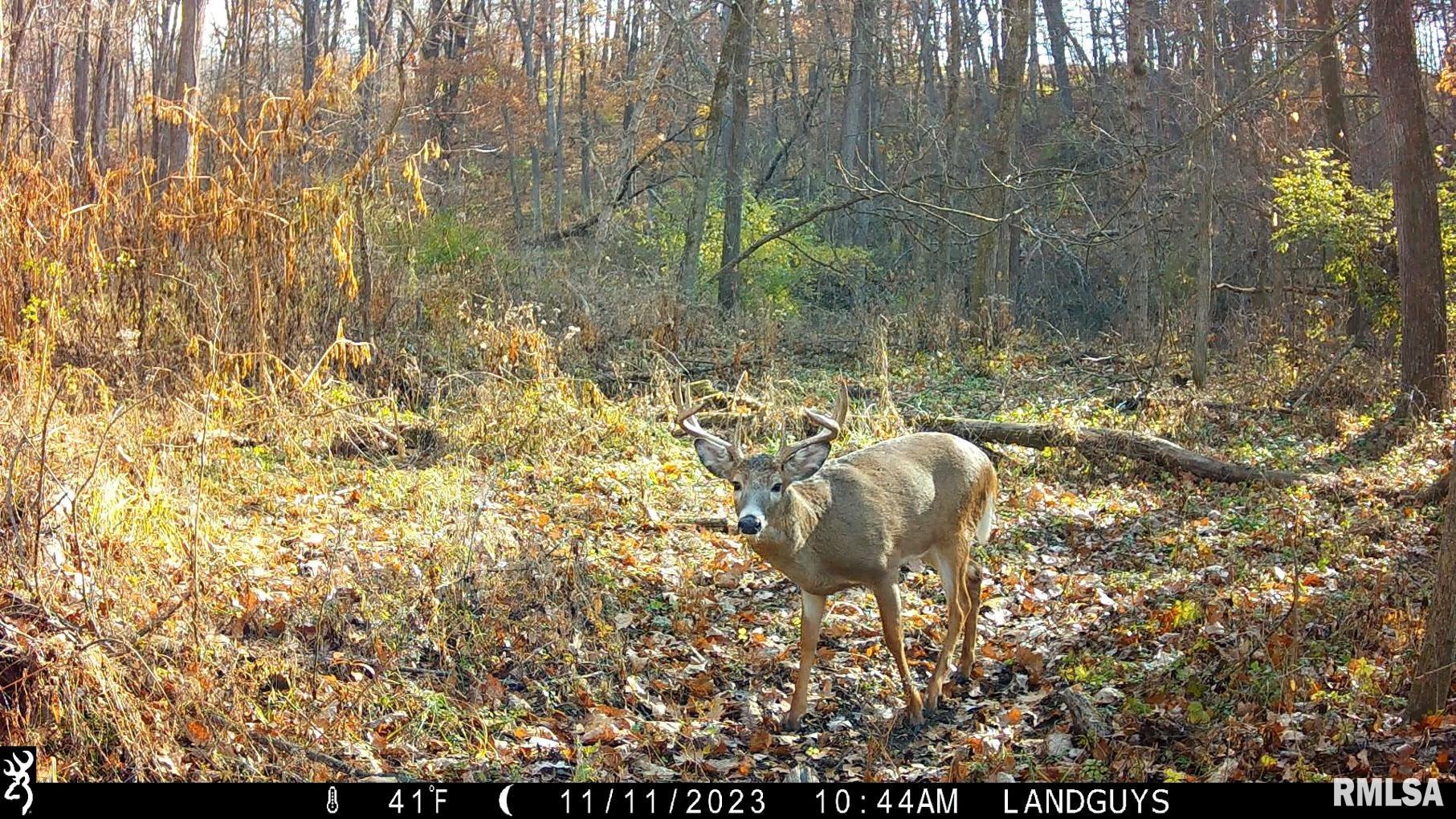 13126 West Parks School Road Princeville, IL 61559 - Photo 72 of 74 Gallery Image 72