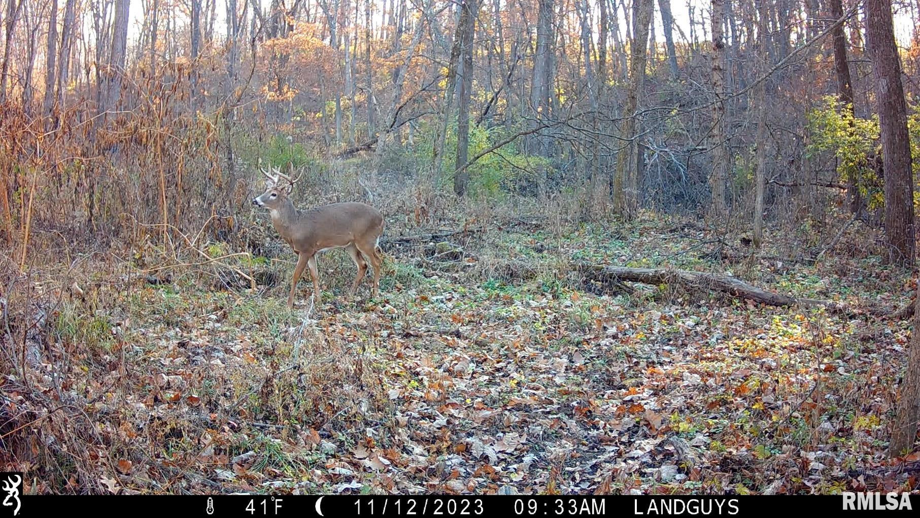 13126 West Parks School Road Princeville, IL 61559 - Photo 73 of 74 Gallery Image 73