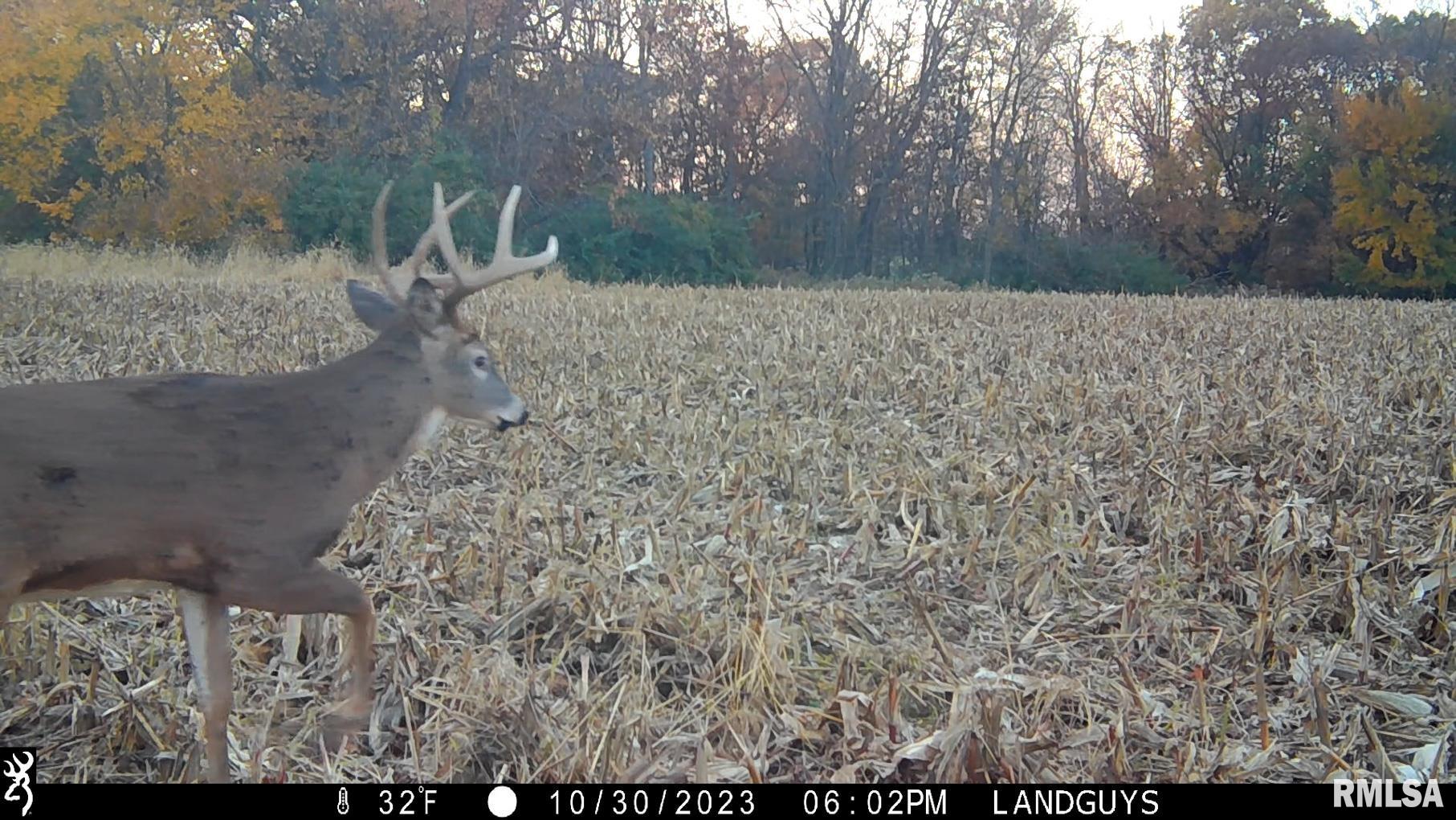 13126 West Parks School Road Princeville, IL 61559 - Photo 74 of 74 Gallery Image 74