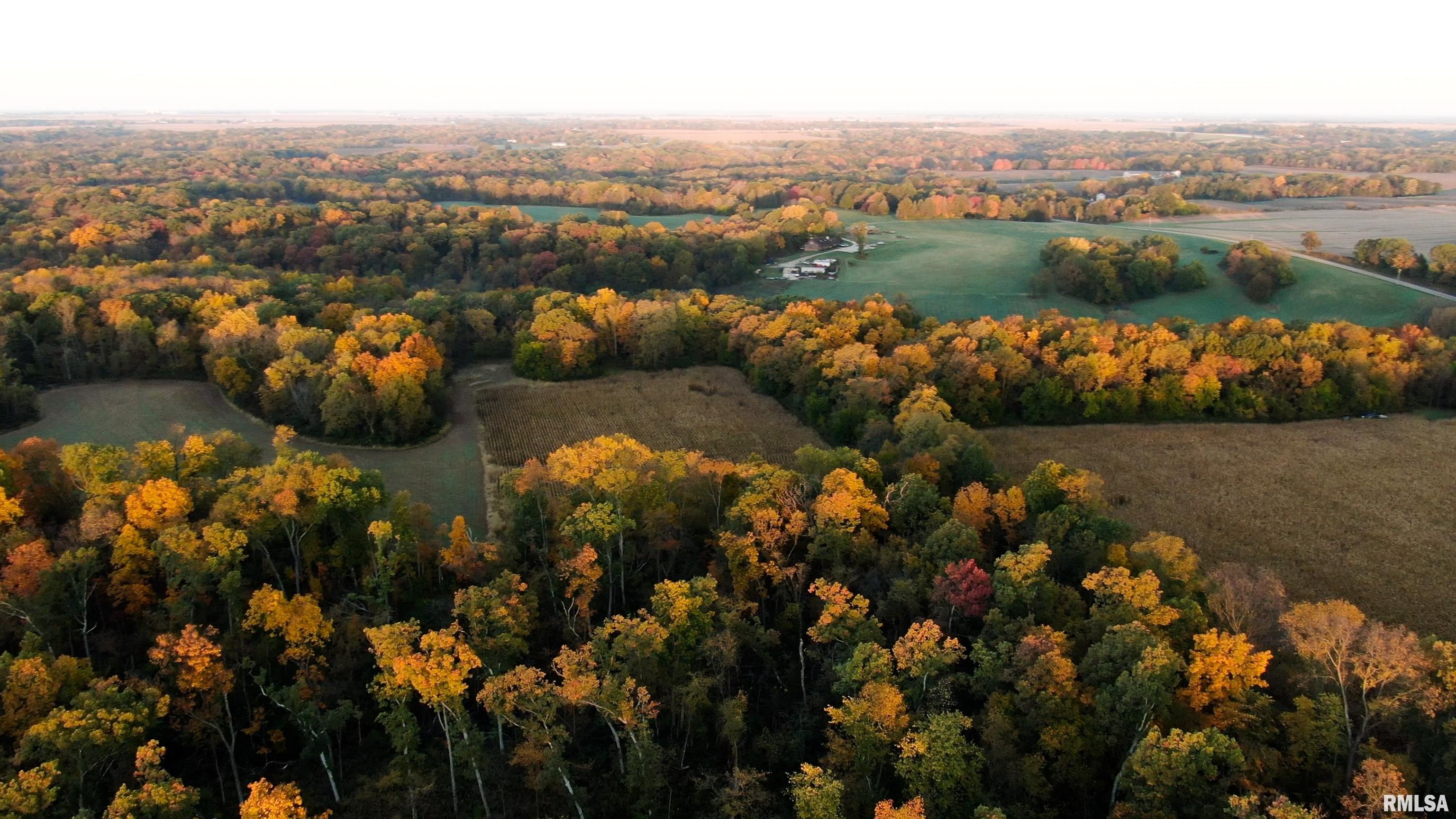 13126 West Parks School Road Princeville, IL 61559 - Photo 9 of 74 Gallery Image 9
