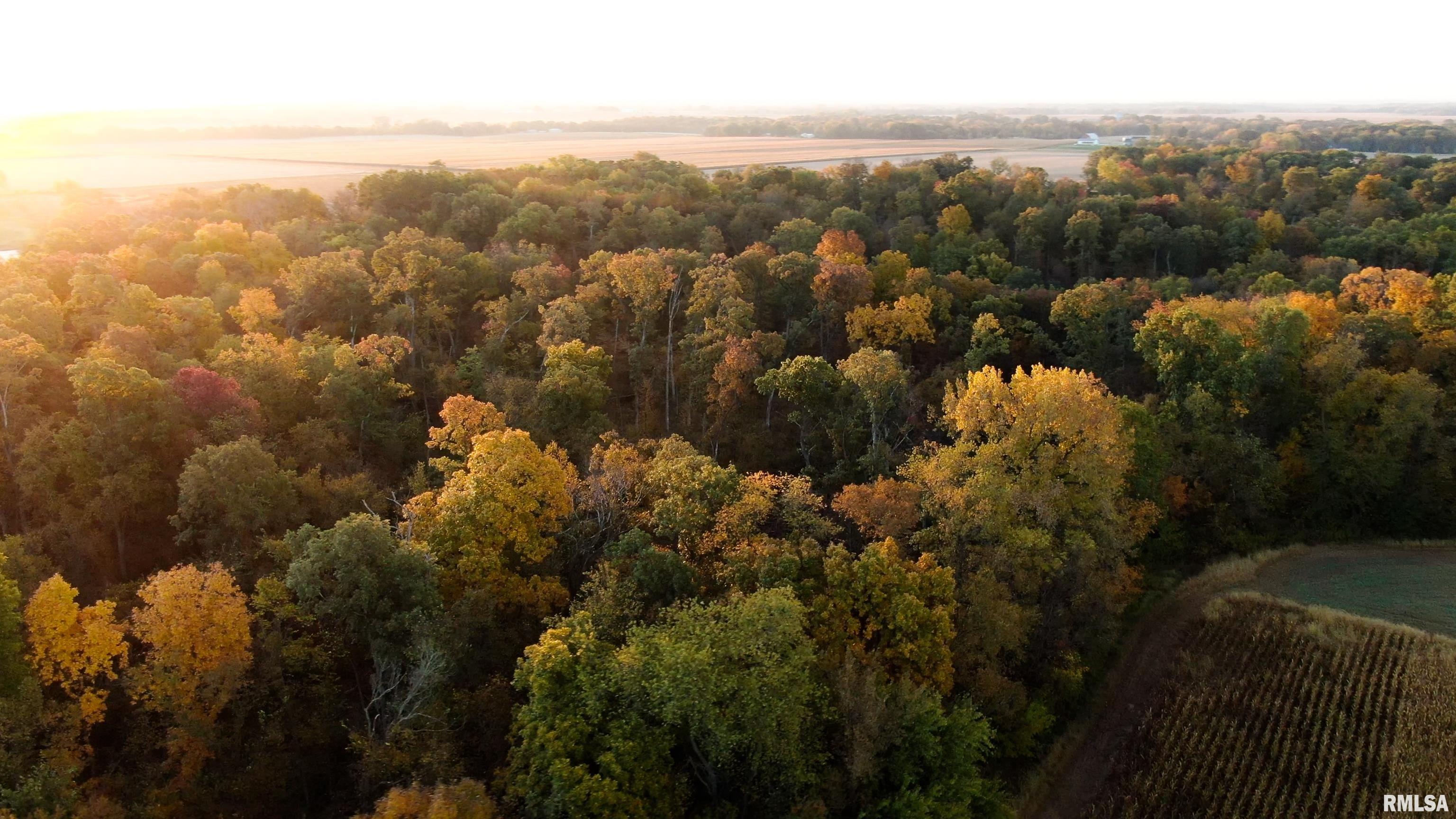 13126 West Parks School Road Princeville, IL 61559 - Photo 10 of 74 Gallery Image 10