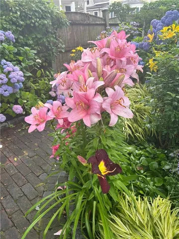 $1,299,000 | 43 Poplar Street, Newport, RI 02840