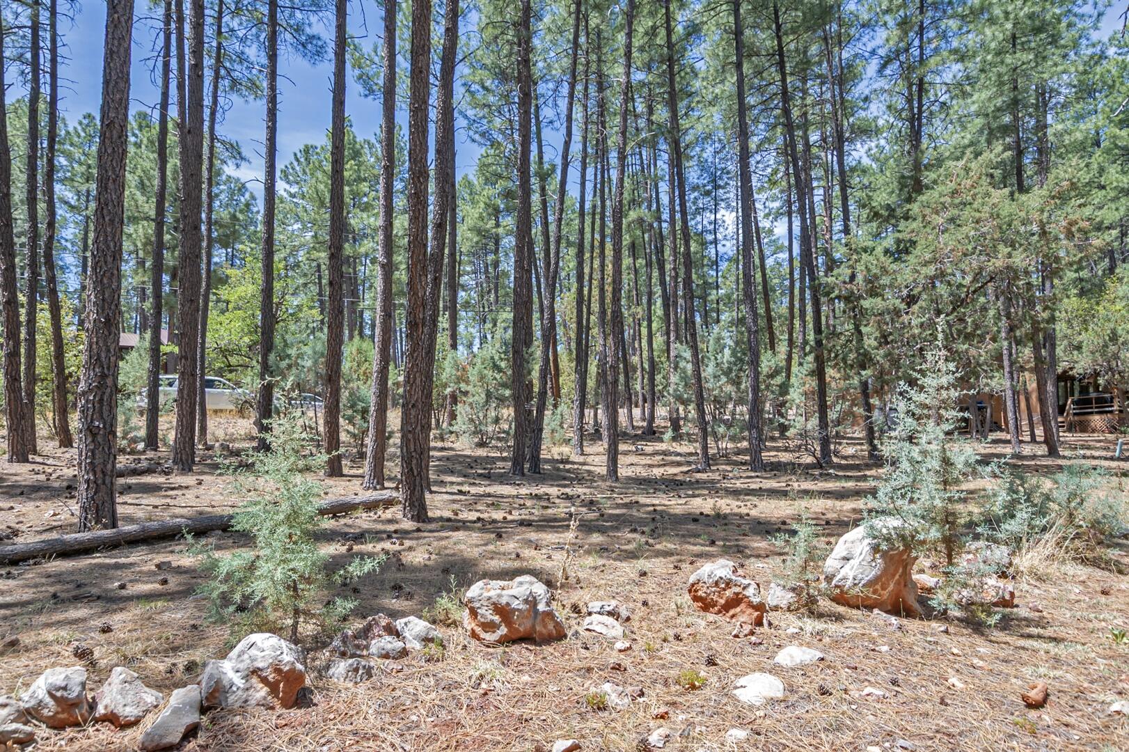 Lot 138 Marcy Way Pine, AZ 85544 - Photo 5 of 6