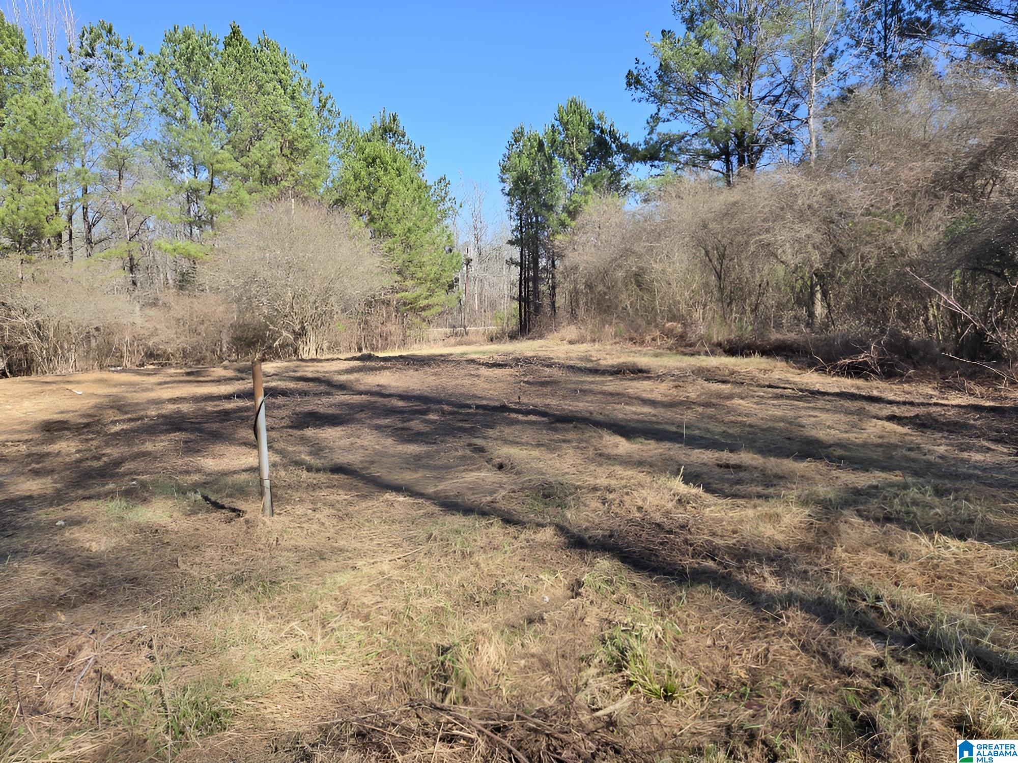 1615 Blanton Road Parrish, AL 35580 - Photo 7 of 12 Gallery Image 7