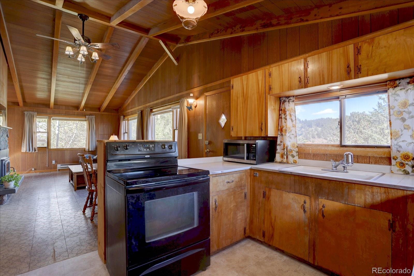 255 Saddlestring Road Bailey, CO 80421 - Photo 12 of 49 a kitchen with a stove and a sink