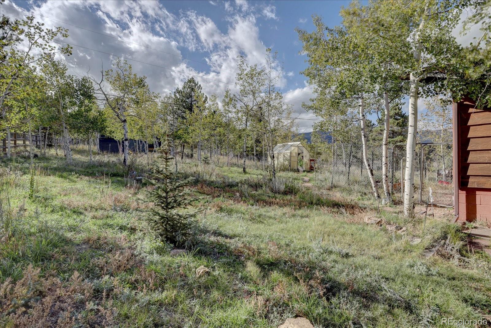 255 Saddlestring Road Bailey, CO 80421 - Photo 27 of 49 a view of a forest with trees in the background