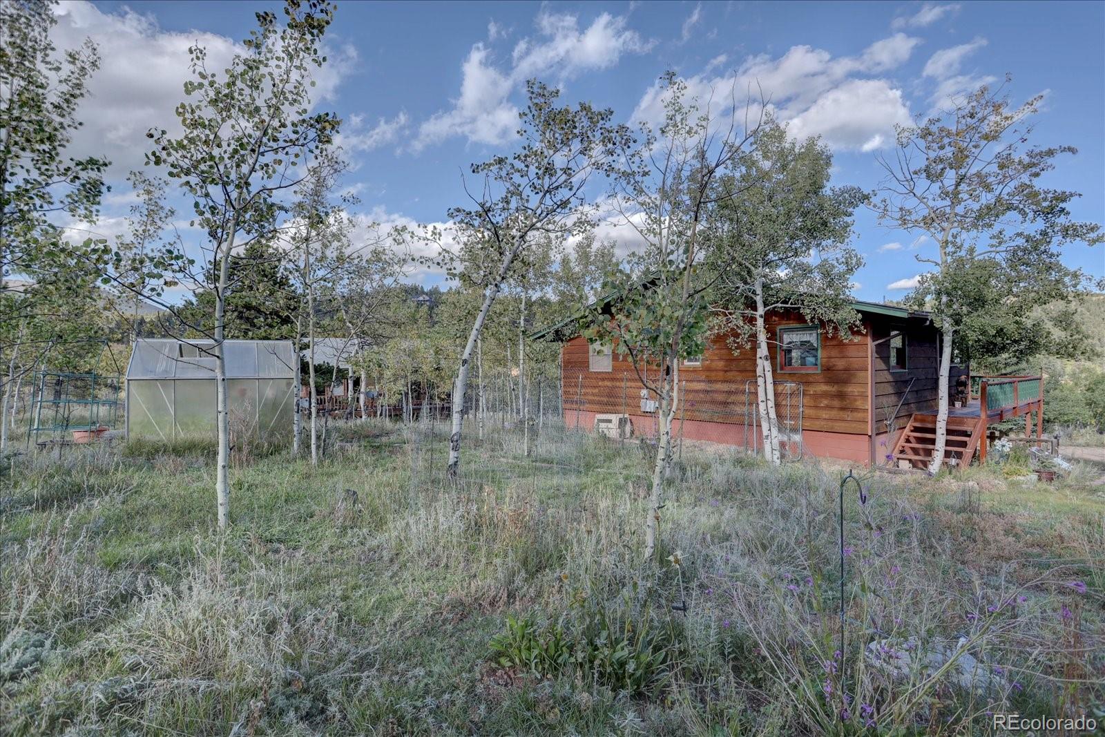 255 Saddlestring Road Bailey, CO 80421 - Photo 28 of 49 a backyard of a house with lots of green space