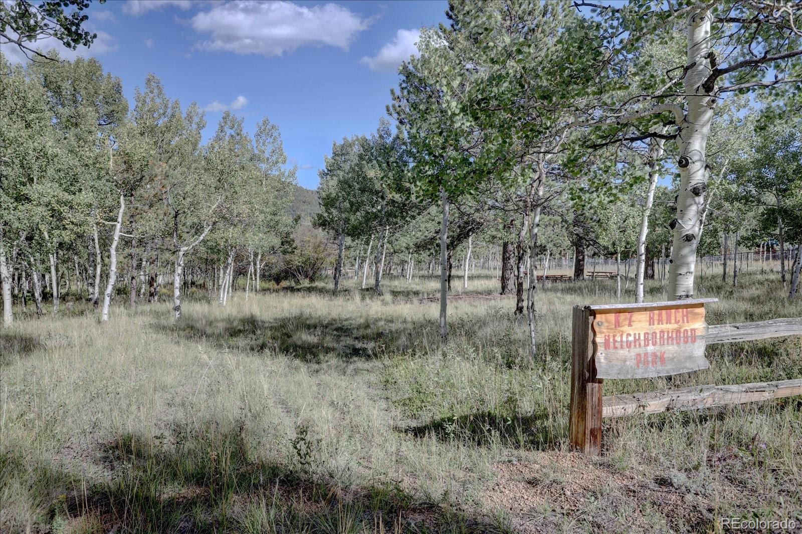 255 Saddlestring Road Bailey, CO 80421 - Photo 30 of 49 a view of outdoor space with trees all around