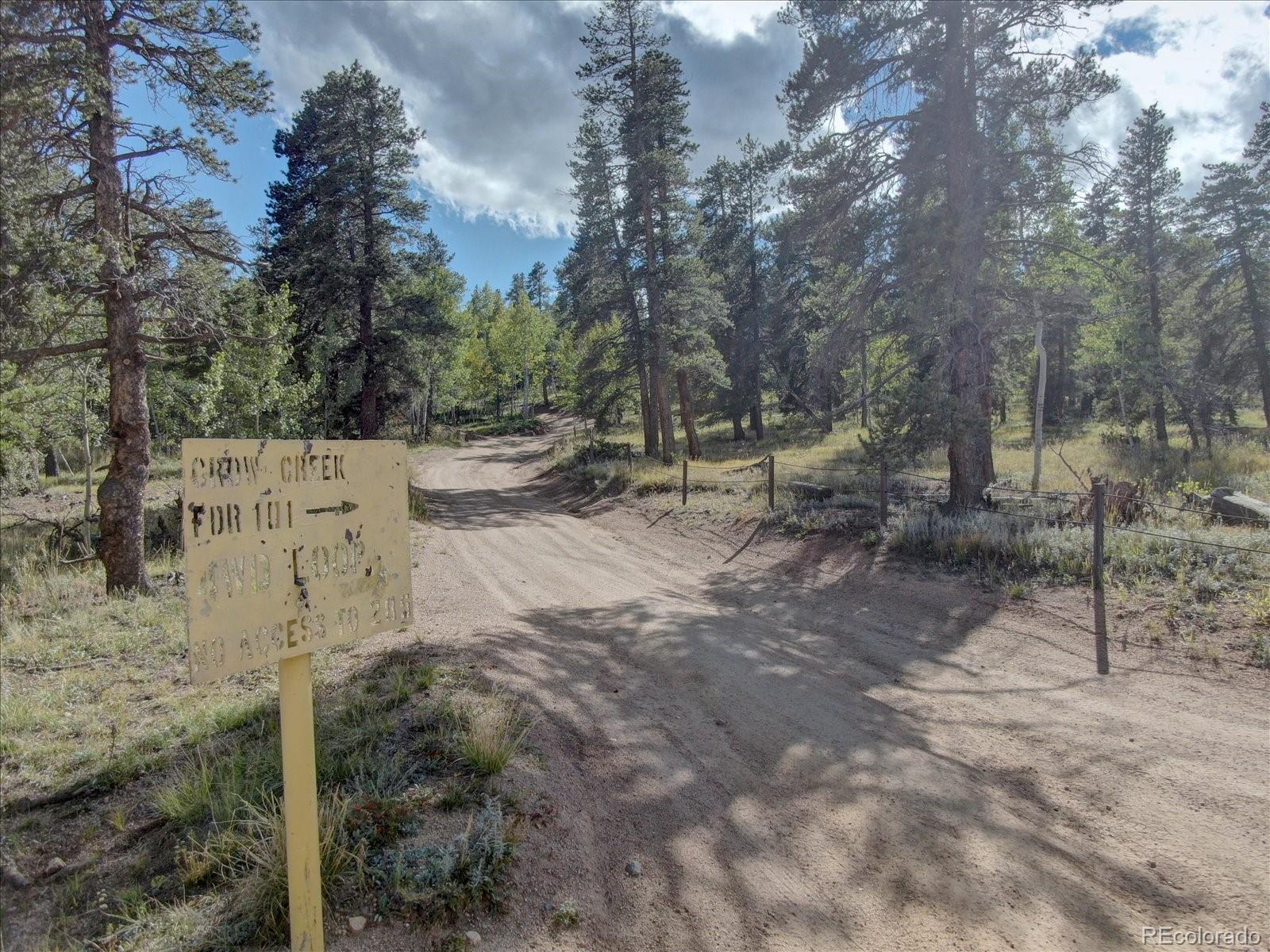 255 Saddlestring Road Bailey, CO 80421 - Photo 31 of 49 a view of backyard with green space