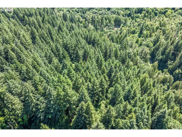 $389,900 | 27200 Highway 211, Estacada, OR 97023