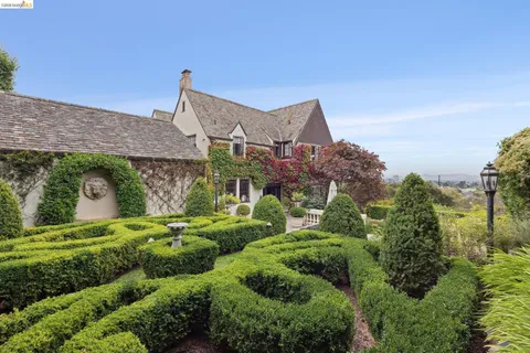 a view of a garden with large trees