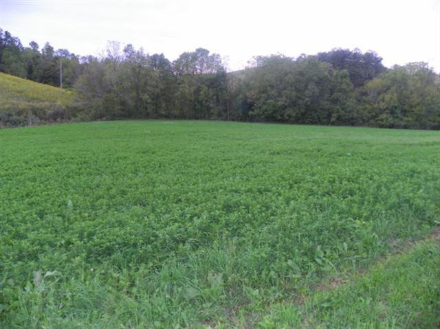 232 Dusty Road Sharpsburg, KY 40374 - Photo 25 of 43 Photo 25