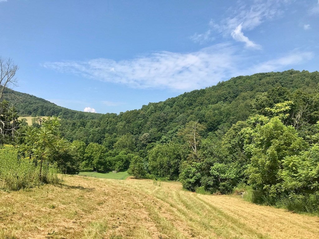Tbd Collins Cv Road, Unit 1 Ivanhoe, VA 24350 - Photo 19 of 53 Gallery Image 19