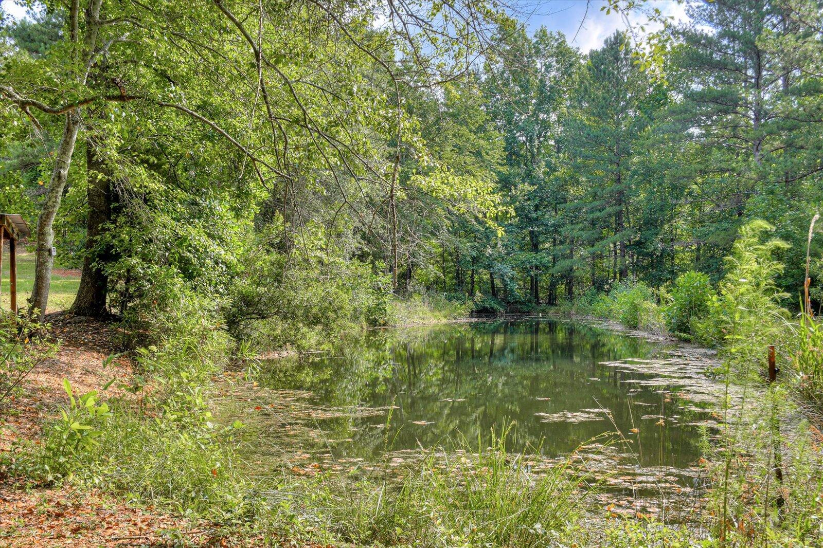118 Yaun Road North Augusta, SC 29841 - Photo 42 of 46 42-142