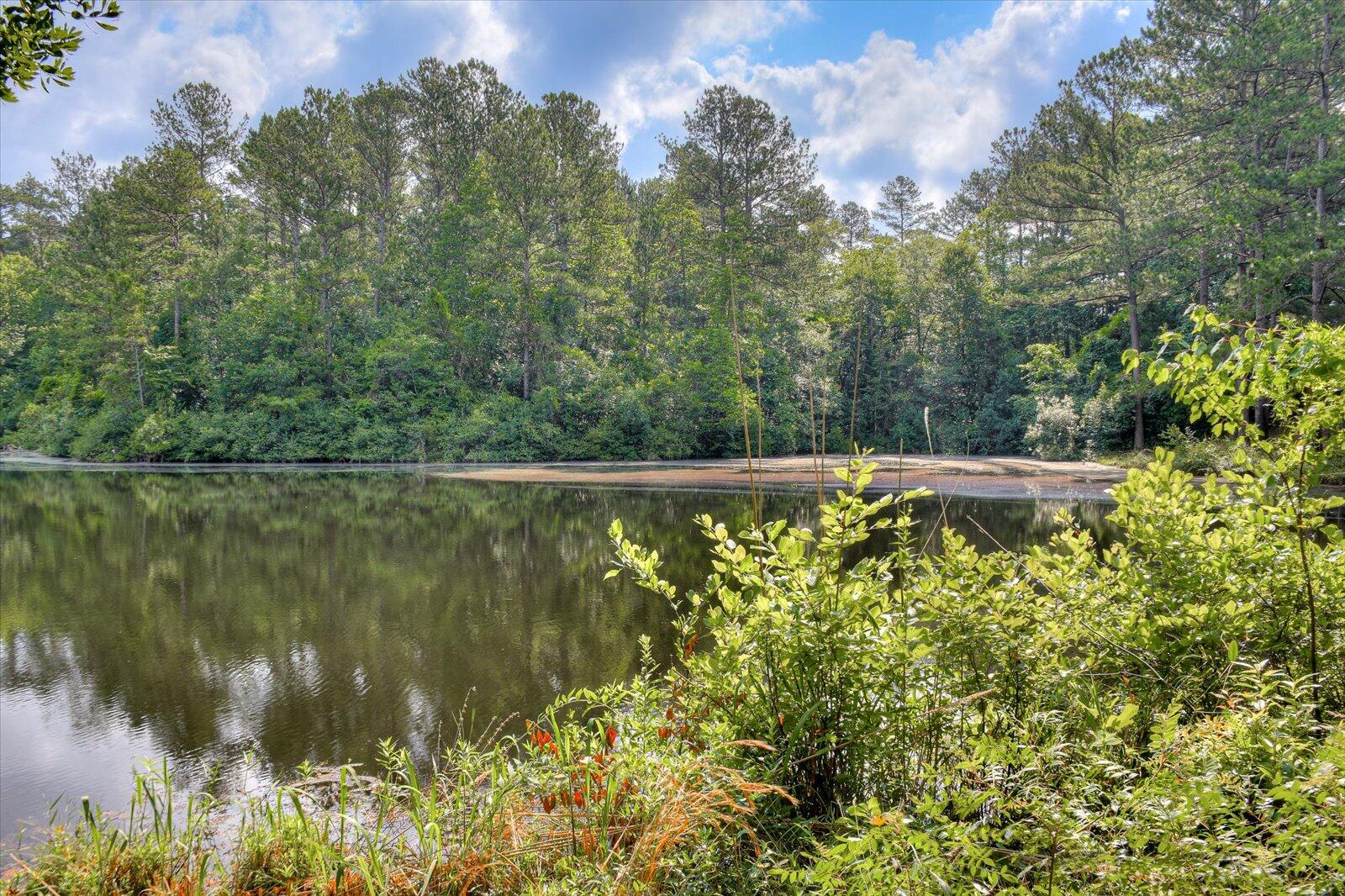 118 Yaun Road North Augusta, SC 29841 - Photo 44 of 46 44-144