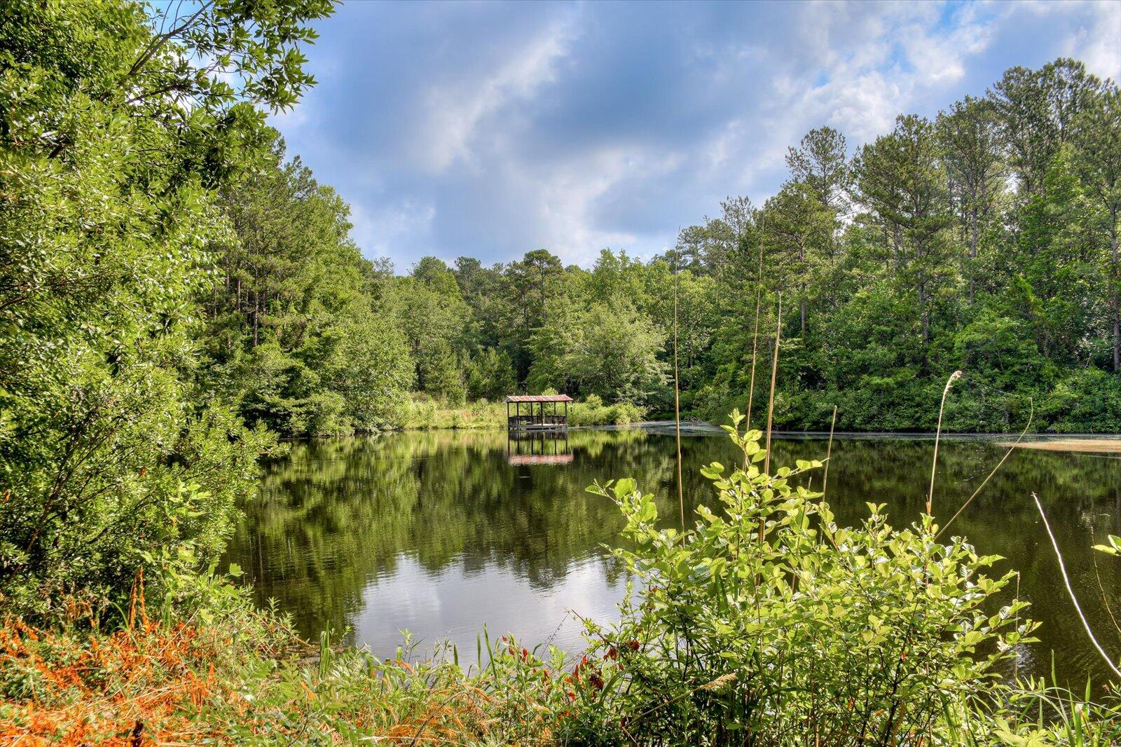 118 Yaun Road North Augusta, SC 29841 - Photo 45 of 46 45-145