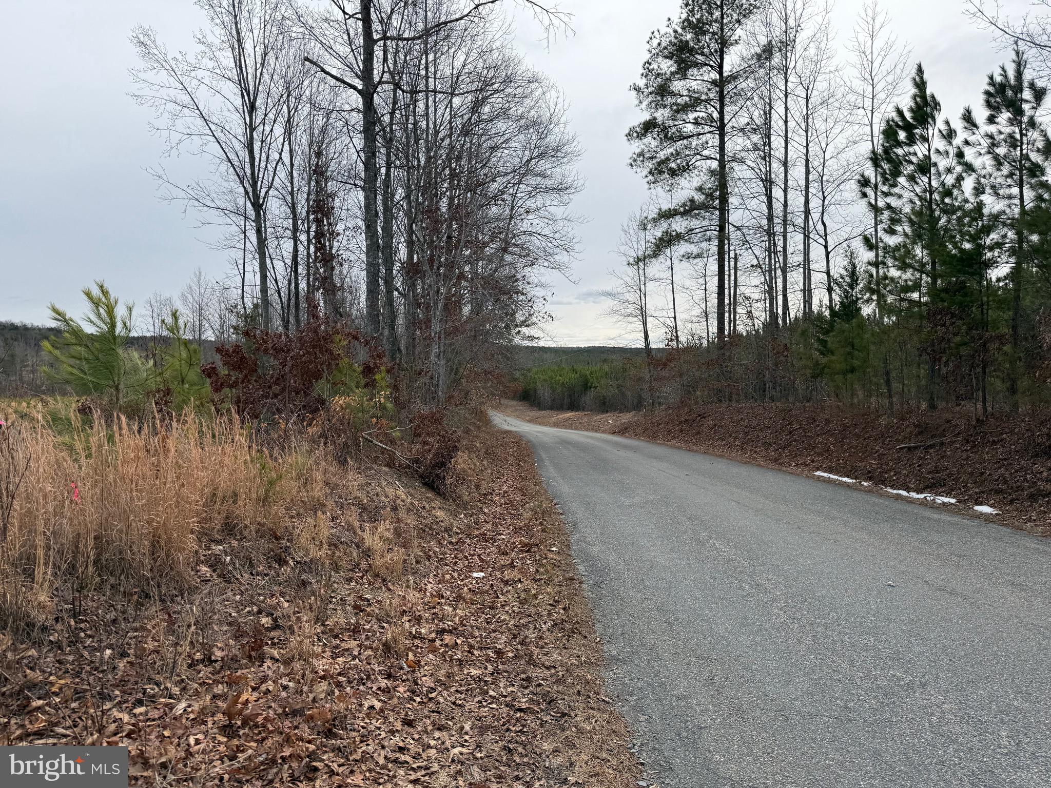 Tbd Community House Road Kents Store, VA 23084 - Photo 13 of 34