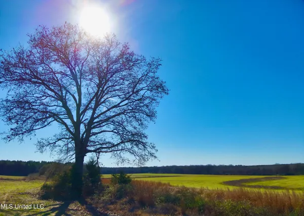 $1,020,000 | Newport Road, Lexington, MS 39095