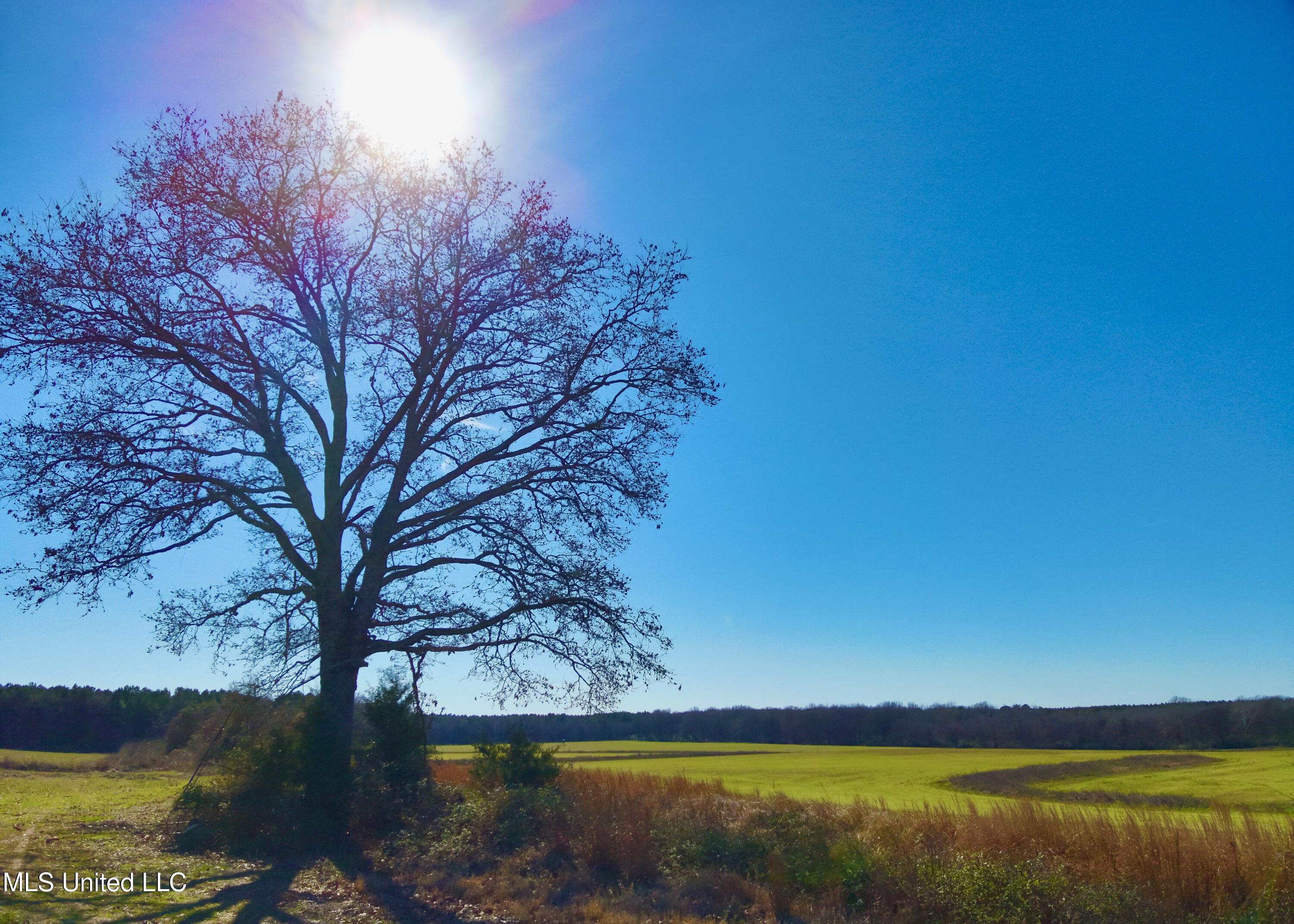 DJI_20260119125216_0002_V