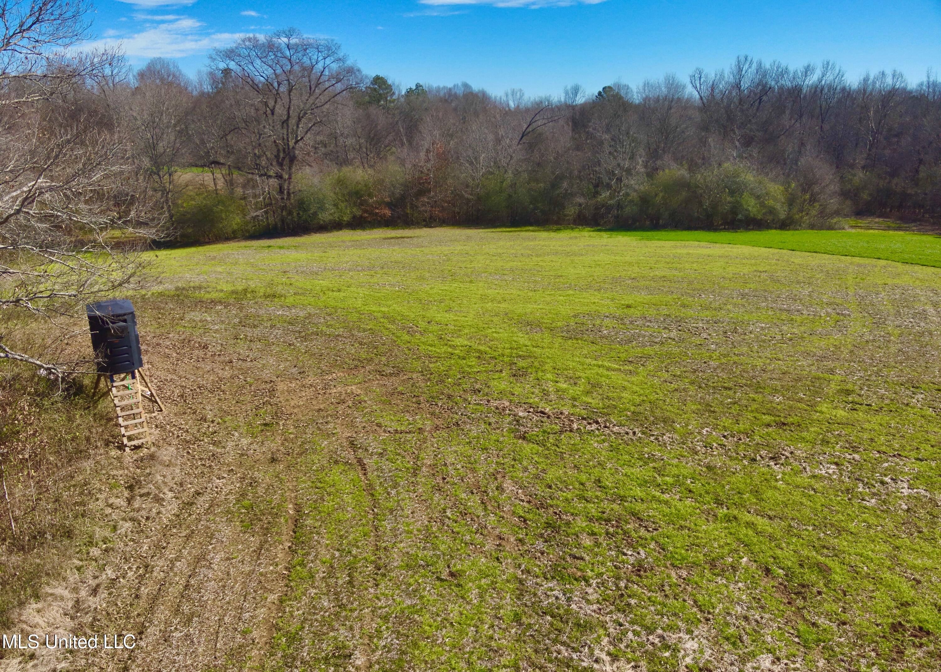 Newport Road Lexington, MS 39095 - Photo 11 of 23 DJI_20260119122132_0012_V