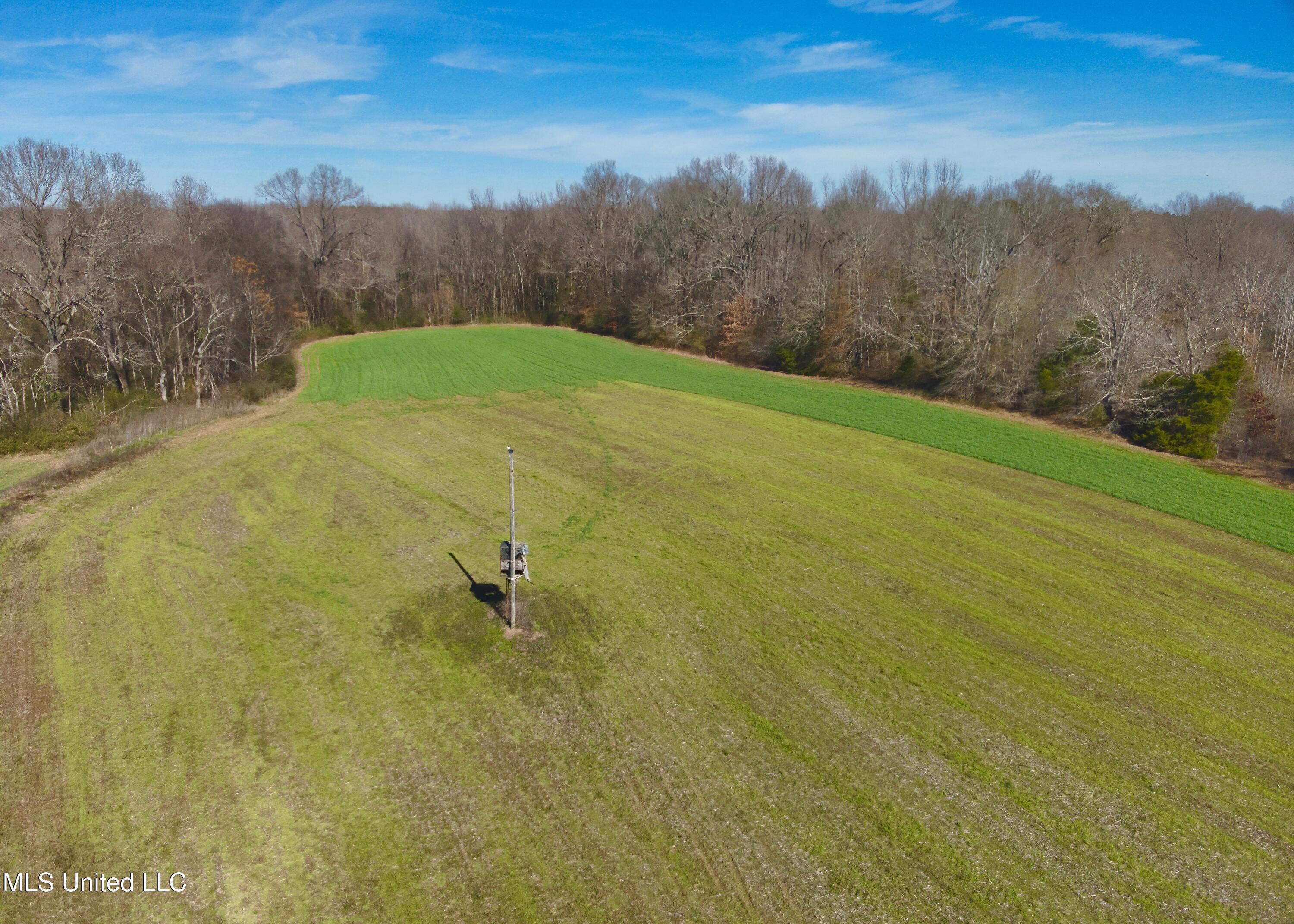 Newport Road Lexington, MS 39095 - Photo 12 of 23 DJI_20260119121733_0003_V