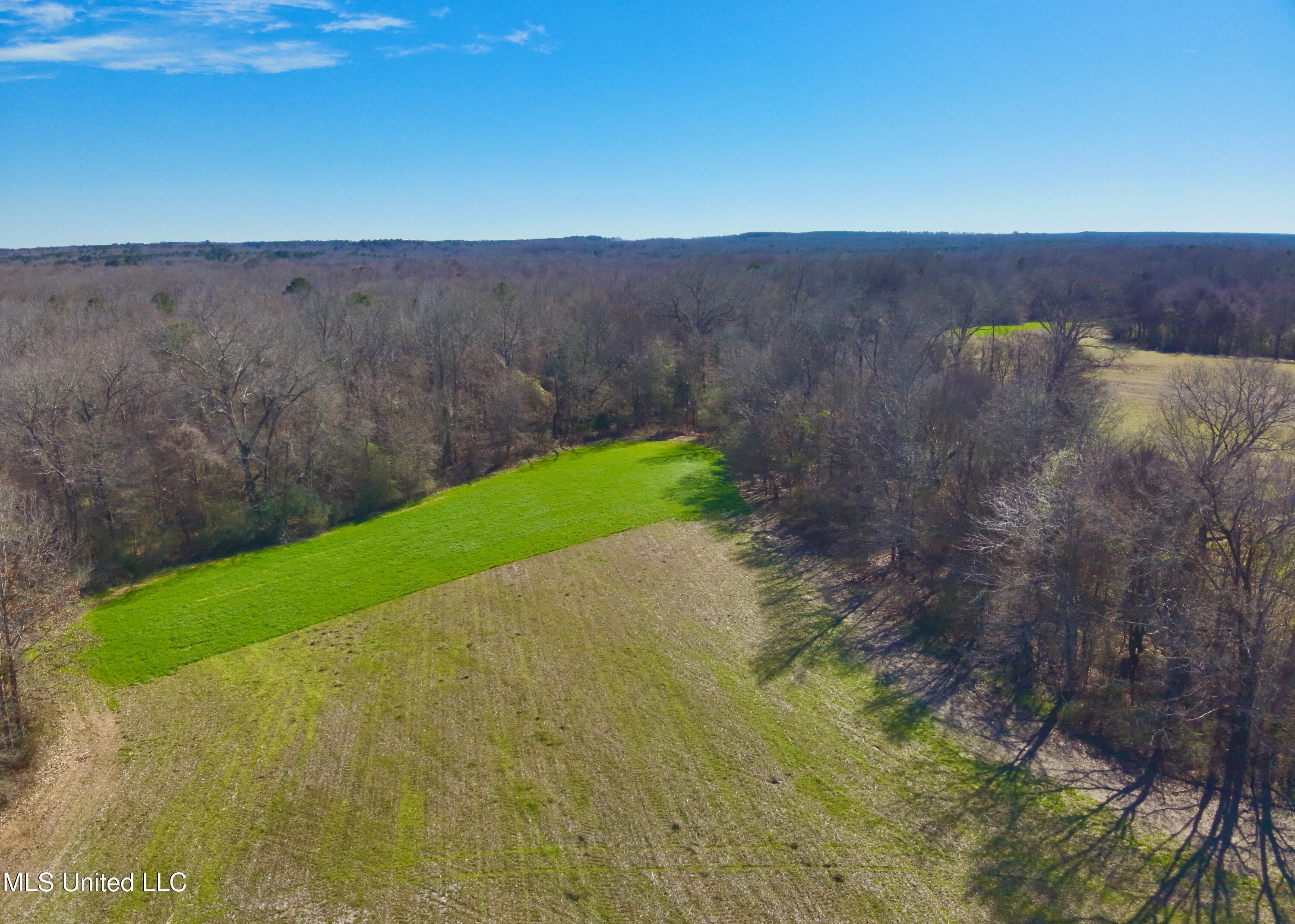 Newport Road Lexington, MS 39095 - Photo 14 of 23 DJI_20260119121905_0007_V