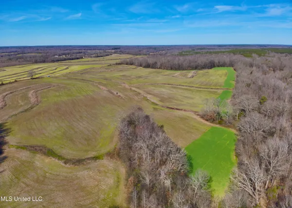 $1,020,000 | Newport Road, Lexington, MS 39095
