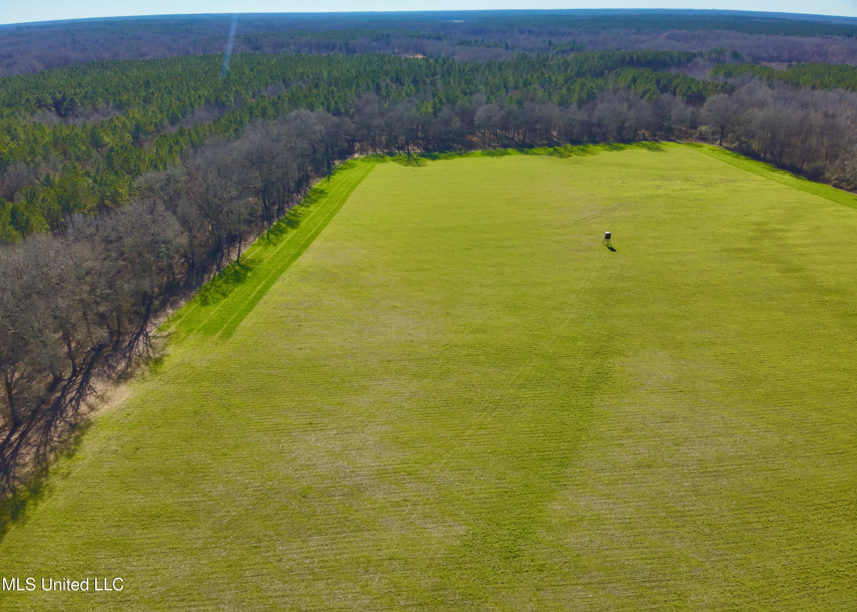 Newport Road Lexington, MS 39095 - Photo 16 of 23 DJI_20260119122358_0019_V