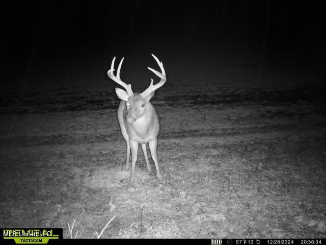 Newport Road Lexington, MS 39095 - Photo 19 of 23 865509052472507-90-4-12282024203646-W100