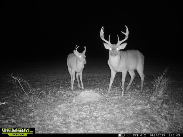 Newport Road Lexington, MS 39095 - Photo 20 of 23 865509052769290-20-4-01272025213120-W100