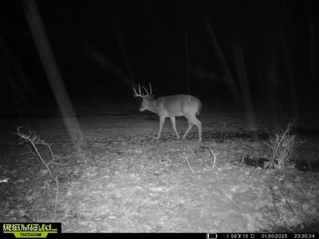 Newport Road Lexington, MS 39095 - Photo 21 of 23 865509052769290-1-4-01302025233053-W1007