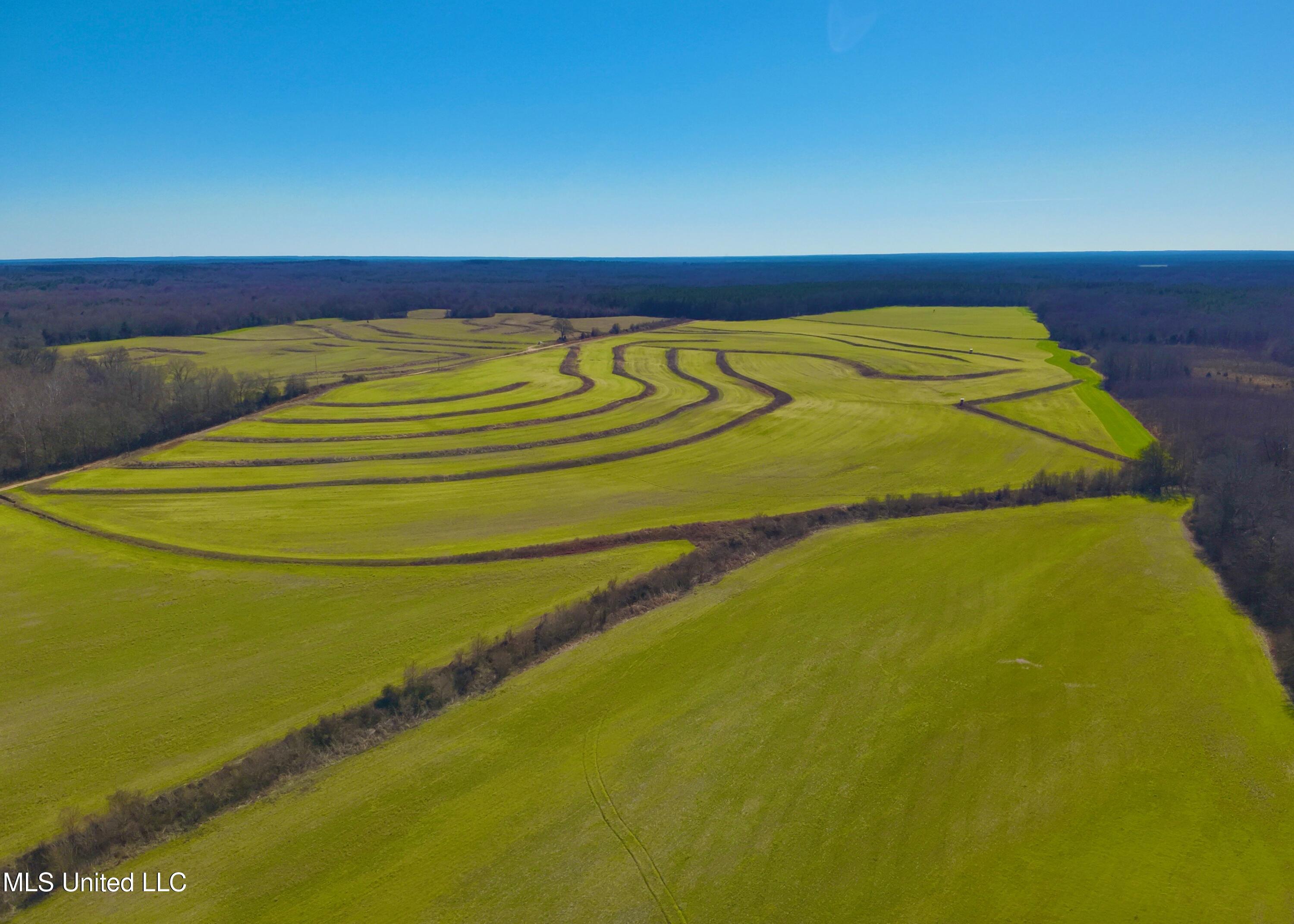 Newport Road Lexington, MS 39095 - Photo 4 of 23 DJI_20260119122933_0033_V