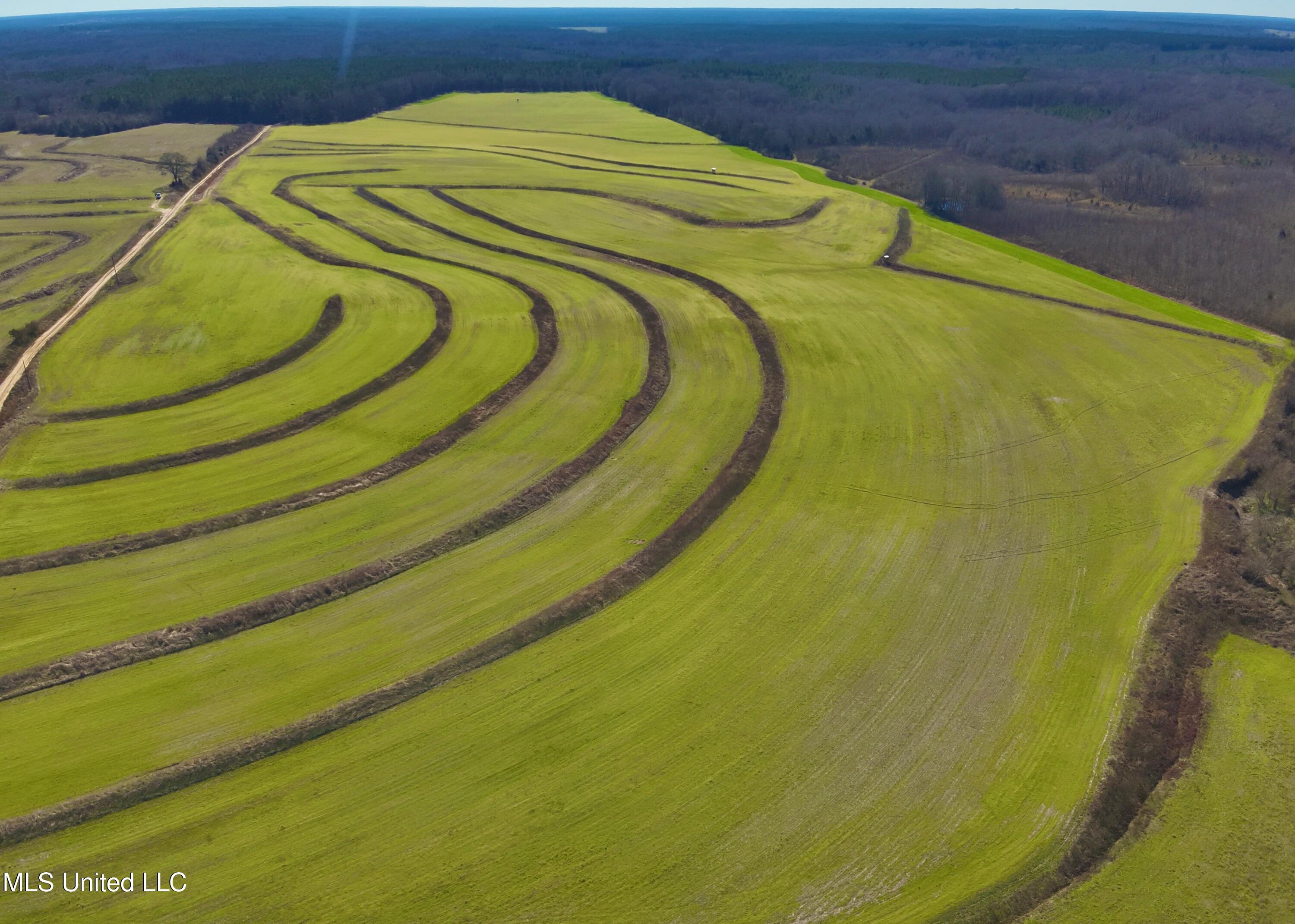 Newport Road Lexington, MS 39095 - Photo 5 of 23 DJI_20260119123239_0040_V
