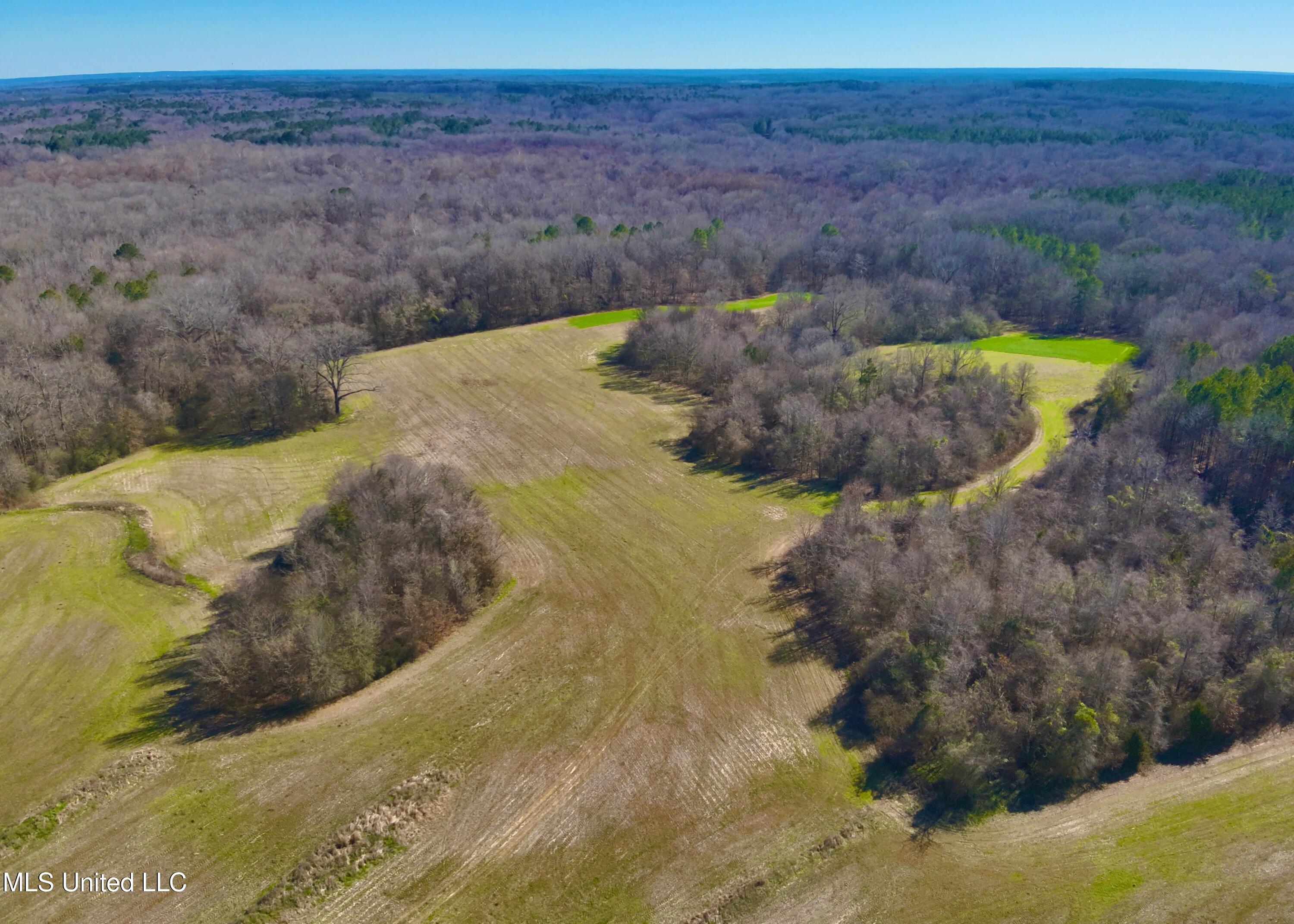 Newport Road Lexington, MS 39095 - Photo 6 of 23 DJI_20260119123445_0048_V