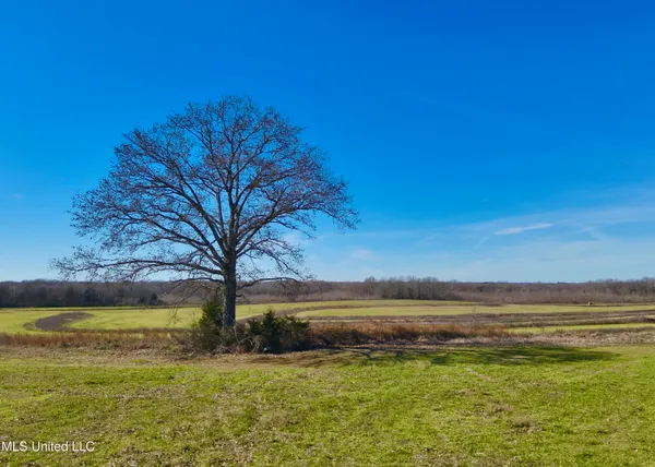 $1,020,000 | Newport Road, Lexington, MS 39095
