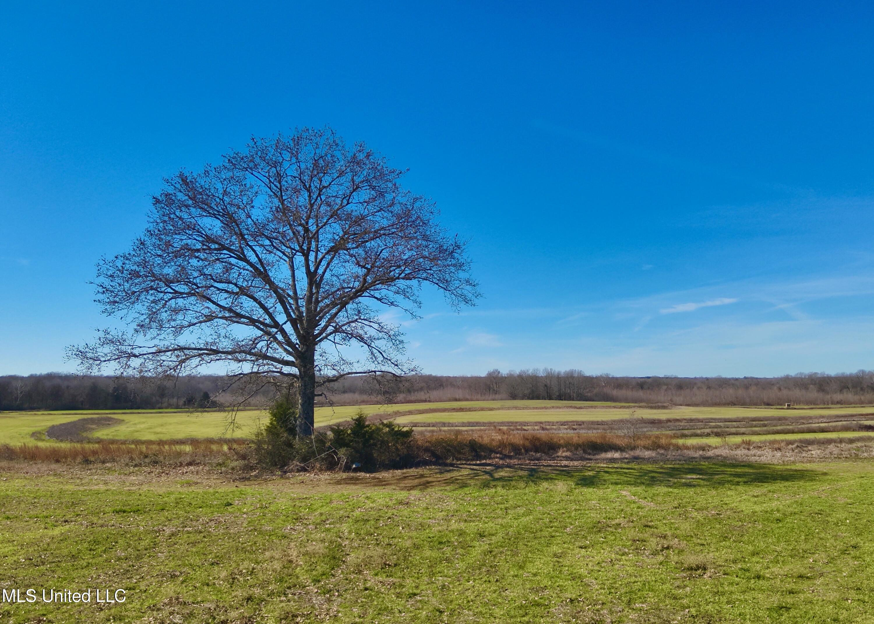 Newport Road Lexington, MS 39095 - Photo 7 of 23 DJI_20260119123650_0053_V