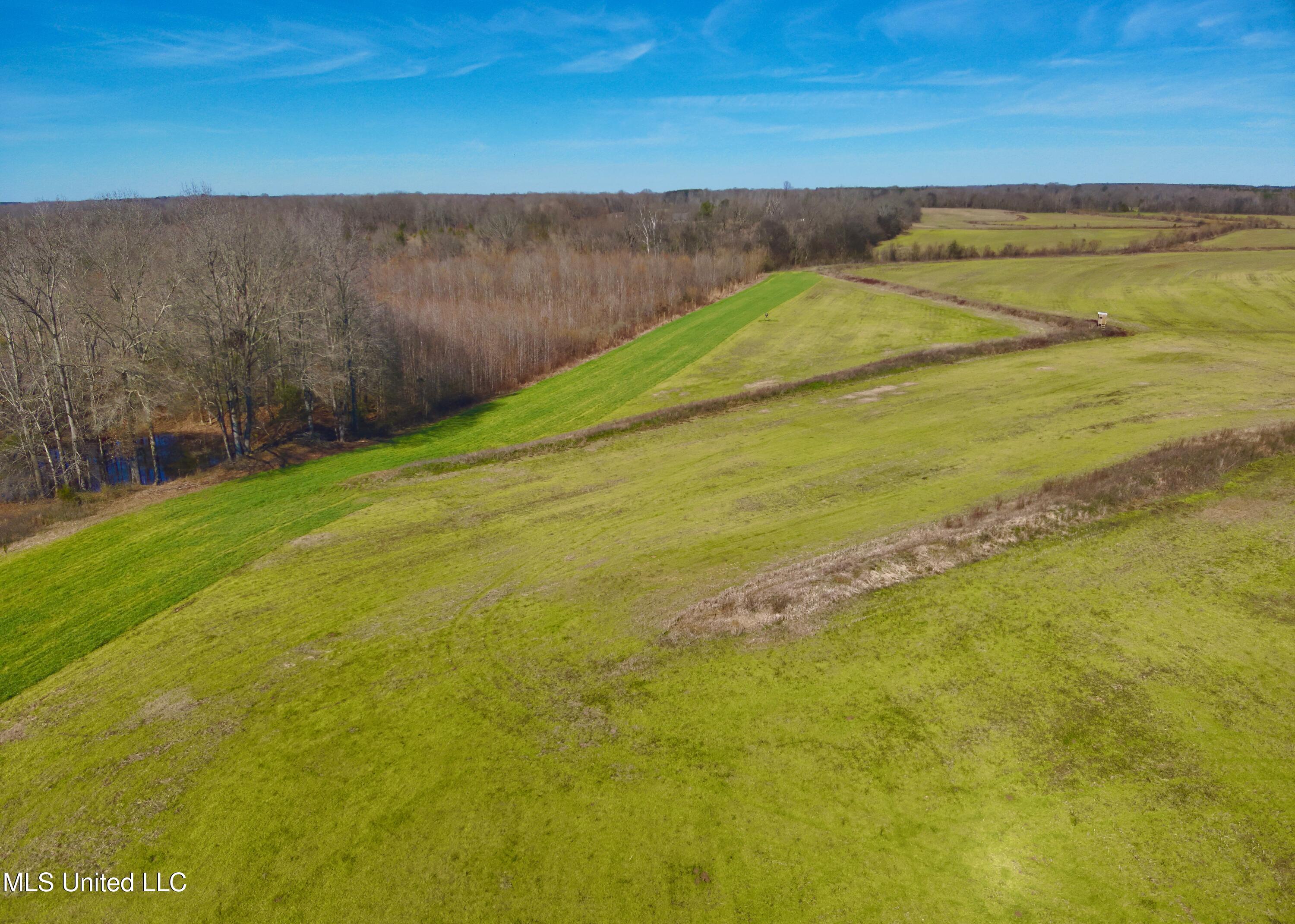 Newport Road Lexington, MS 39095 - Photo 8 of 23 DJI_20260119122716_0029_V