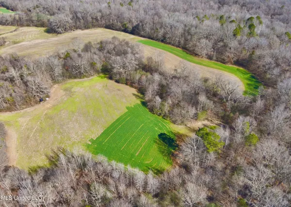 $1,020,000 | Newport Road, Lexington, MS 39095