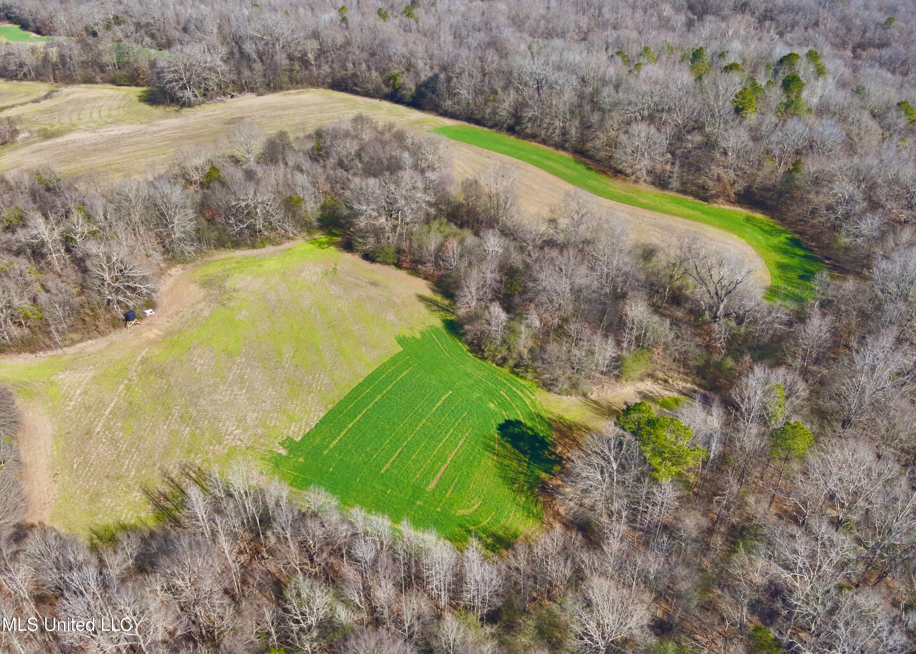 Newport Road Lexington, MS 39095 - Photo 9 of 23 DJI_20260119122229_0016_V