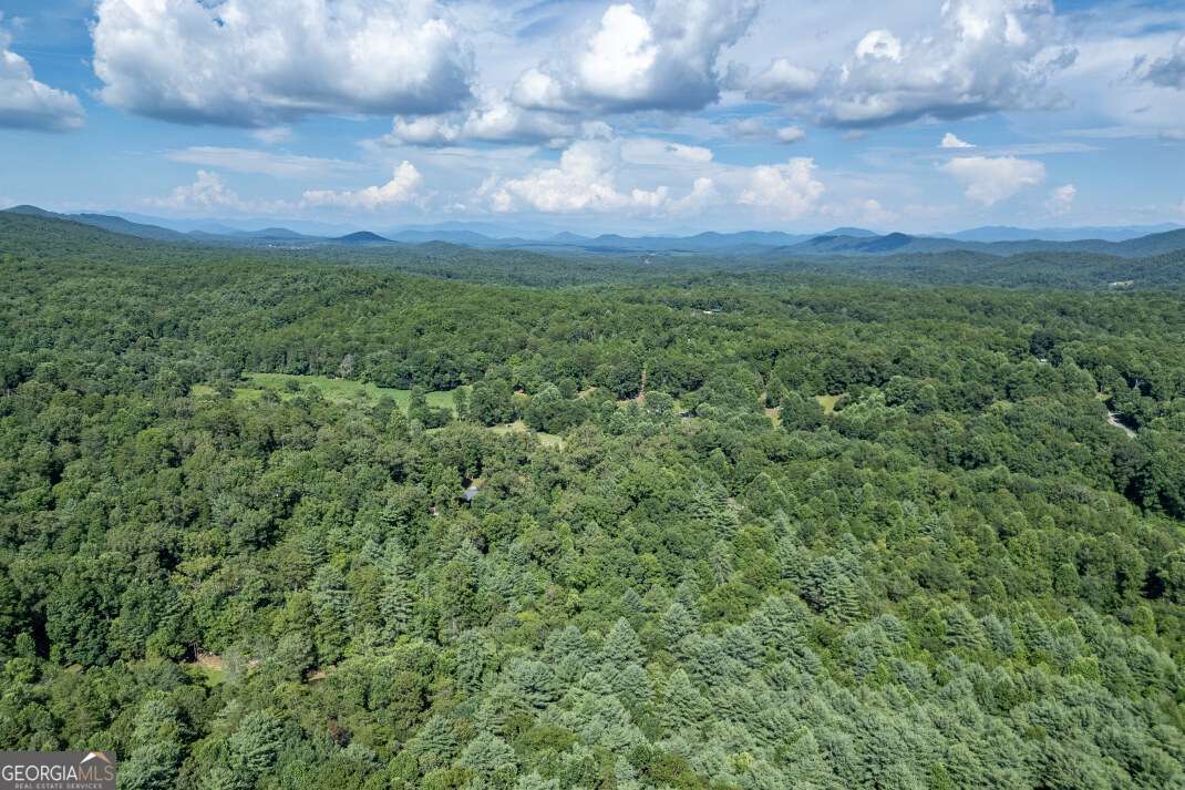 Lot 4 Rocking Chair Ridge Mineral Bluff, GA 30559 - Photo 19 of 24 a view of a big yard with lots of green space