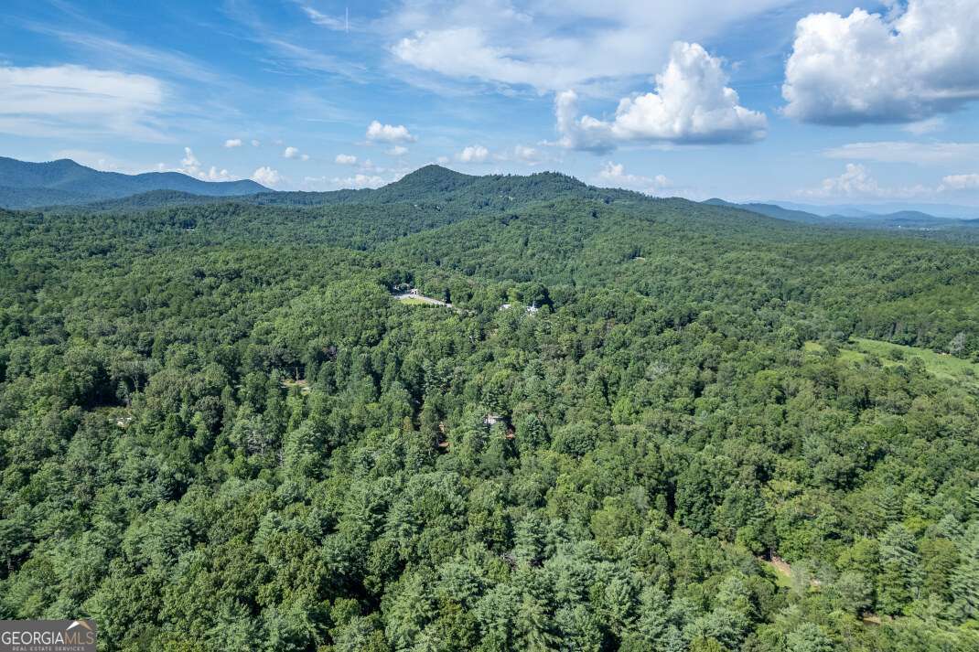 Lot 4 Rocking Chair Ridge Mineral Bluff, GA 30559 - Photo 20 of 24 a view of a big yard with lots of green space and mountain view