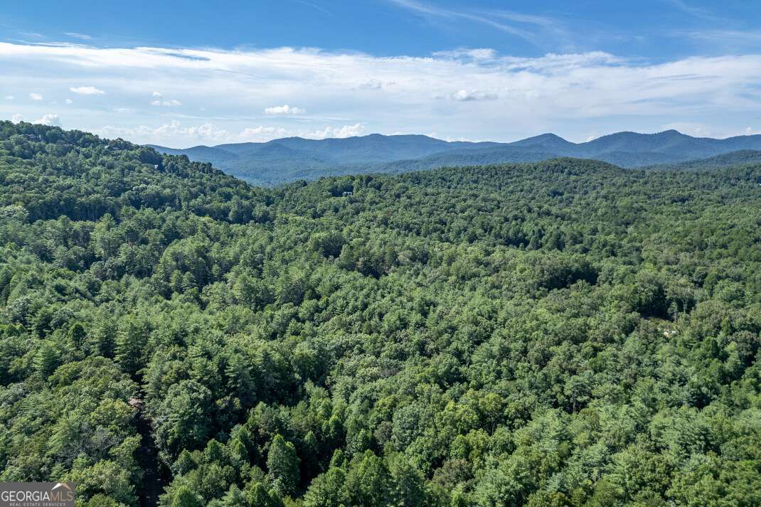 Lot 4 Rocking Chair Ridge Mineral Bluff, GA 30559 - Photo 21 of 24 an aerial view of a houses with a lush green hillside