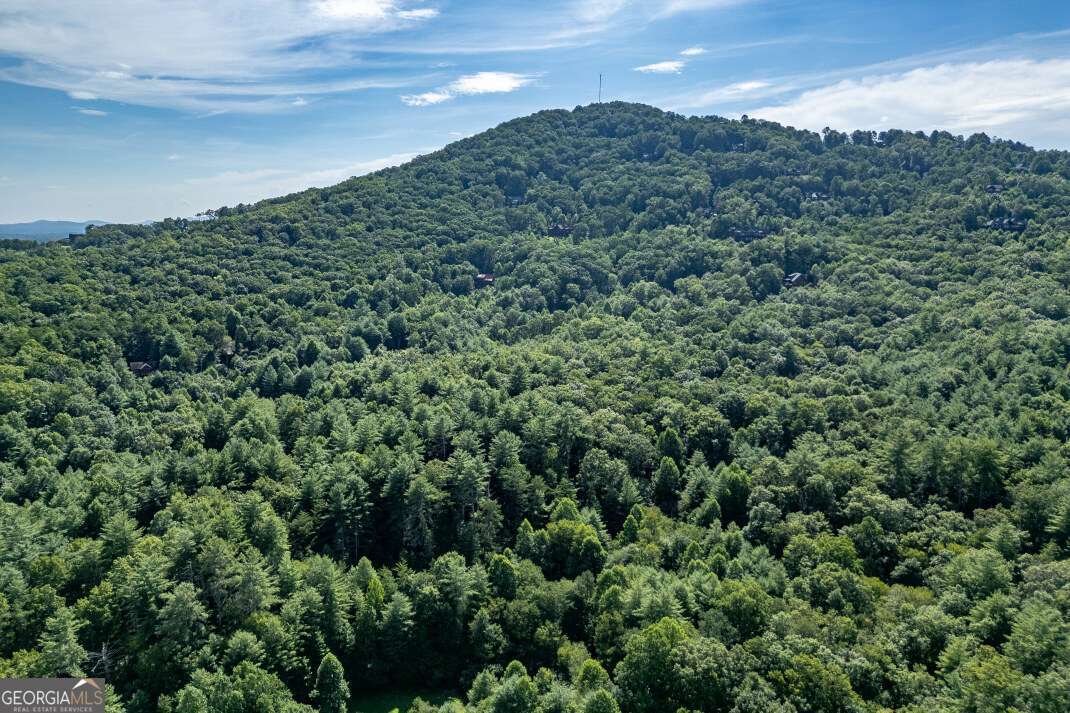 Lot 4 Rocking Chair Ridge Mineral Bluff, GA 30559 - Photo 22 of 24 a view of a big yard with lots of green space