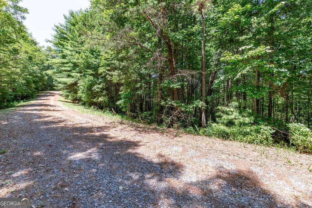 Lot 4 Rocking Chair Ridge Mineral Bluff, GA 30559 - Photo 3 of 24 a view of a dirt road with trees in the background