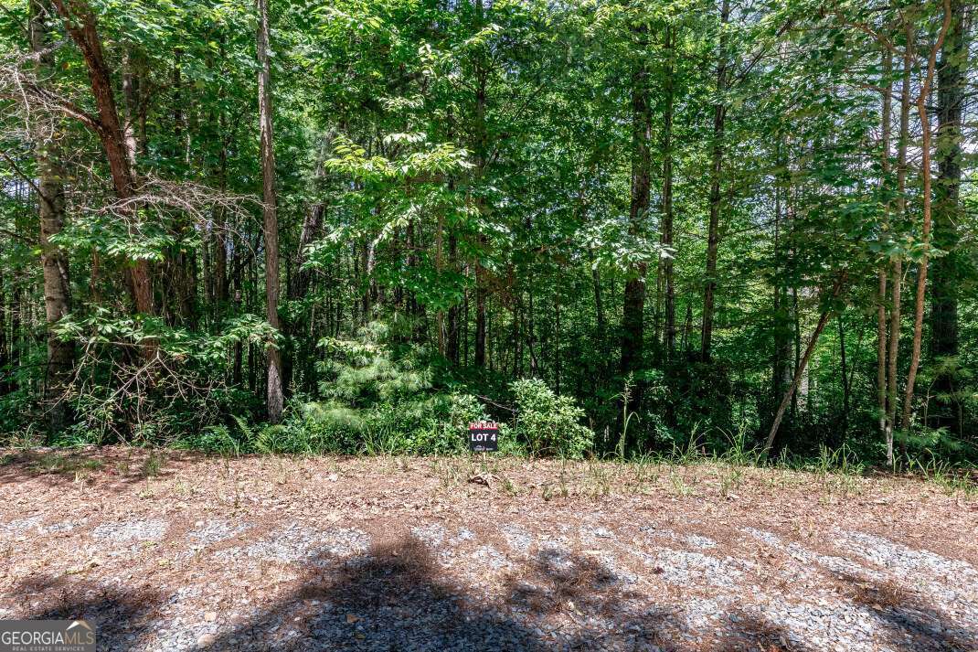 Lot 4 Rocking Chair Ridge Mineral Bluff, GA 30559 - Photo 4 of 24 a view of a road with trees in the background