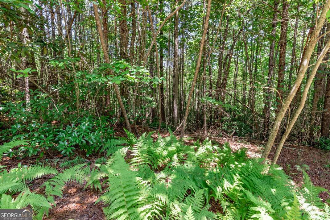 Lot 4 Rocking Chair Ridge Mineral Bluff, GA 30559 - Photo 7 of 24 a backyard of a house with lots of green space and a fountain