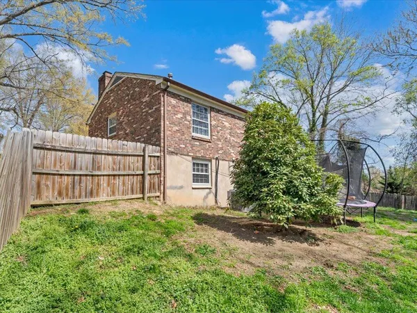 a view of a backyard with plants