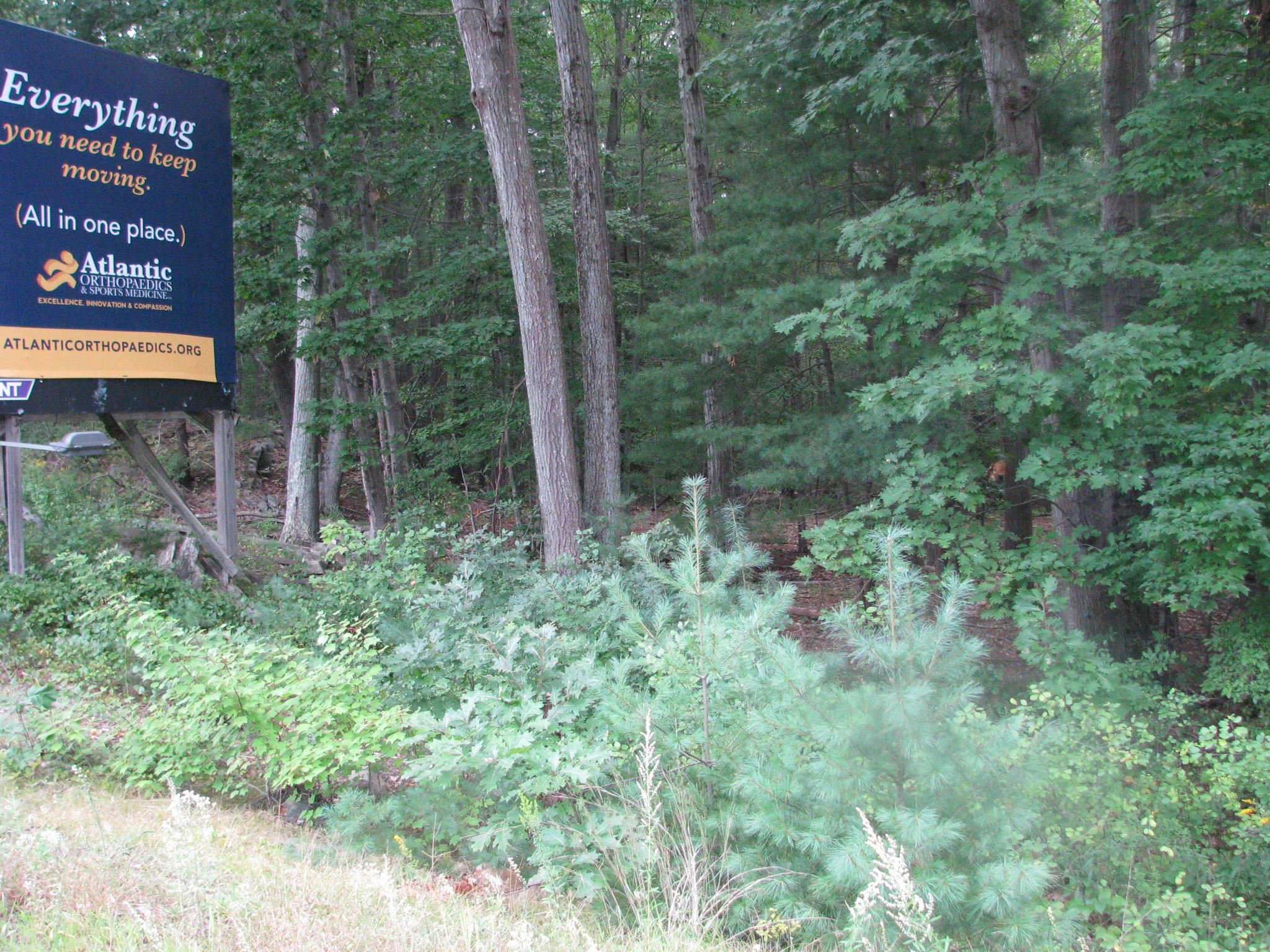 Sagamore Avenue Portsmouth, NH 03801 - Photo 11 of 18