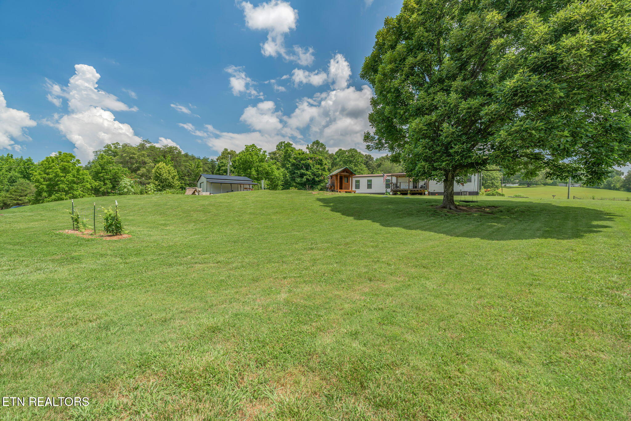 286 JD Farm Road Tellico Plains, TN 37385 - Photo 40 of 58 40-web-or-mls-286 JD Farm Road-40